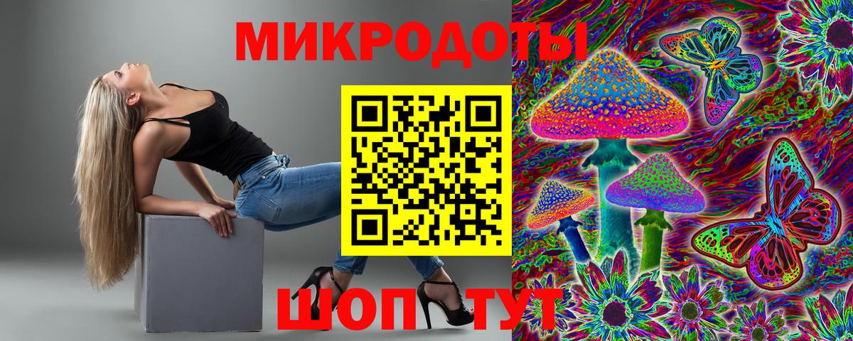 Псилоцибиновые грибы Cubensis Кызыл
