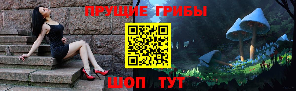 Псилоцибиновые грибы Cubensis  Вход с VPN  Кызыл 